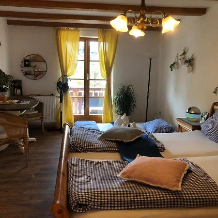 Ferienwohnung Sonne Schliengen Exterior foto