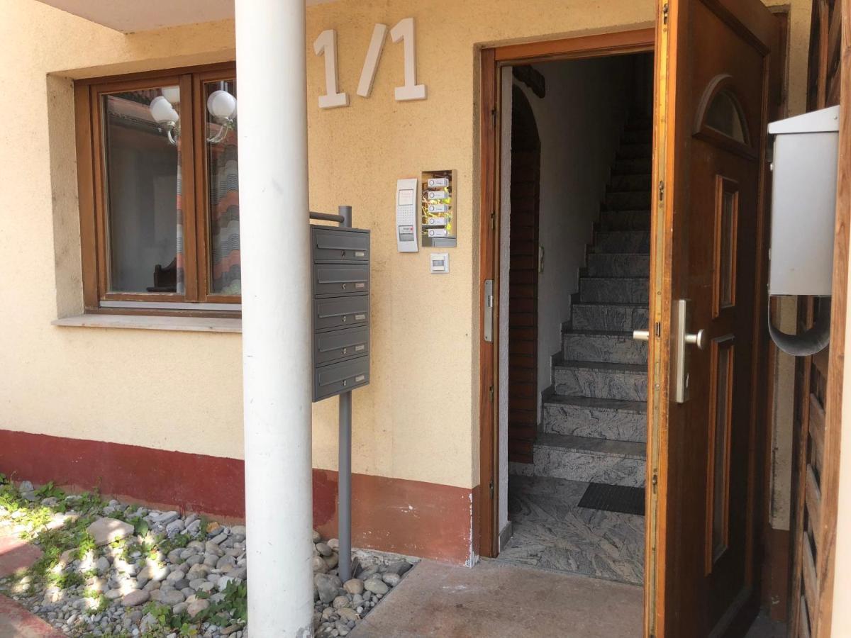 Ferienwohnung Sonne Schliengen Exterior foto